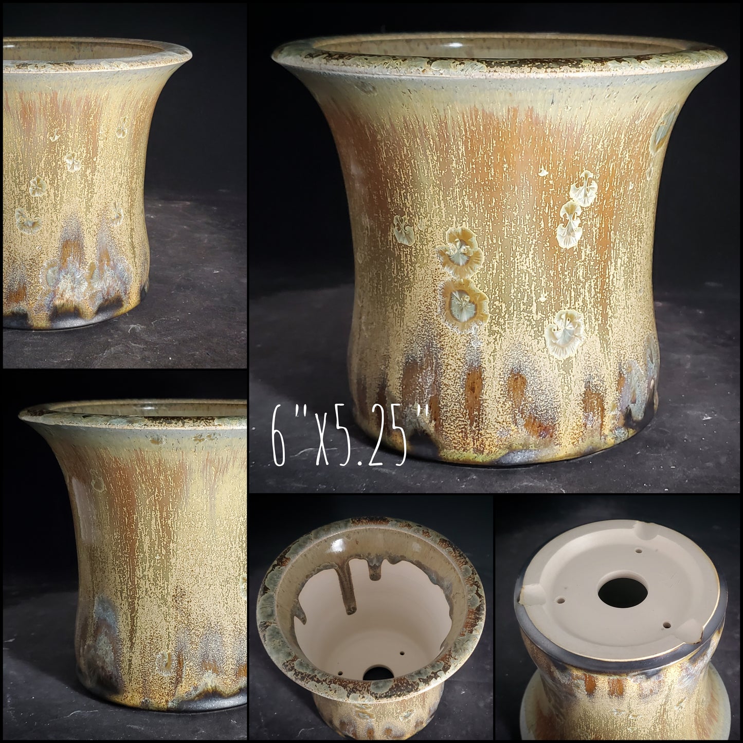 Bonsai Pot Round 2-25-1528 6"w x 5.25"t