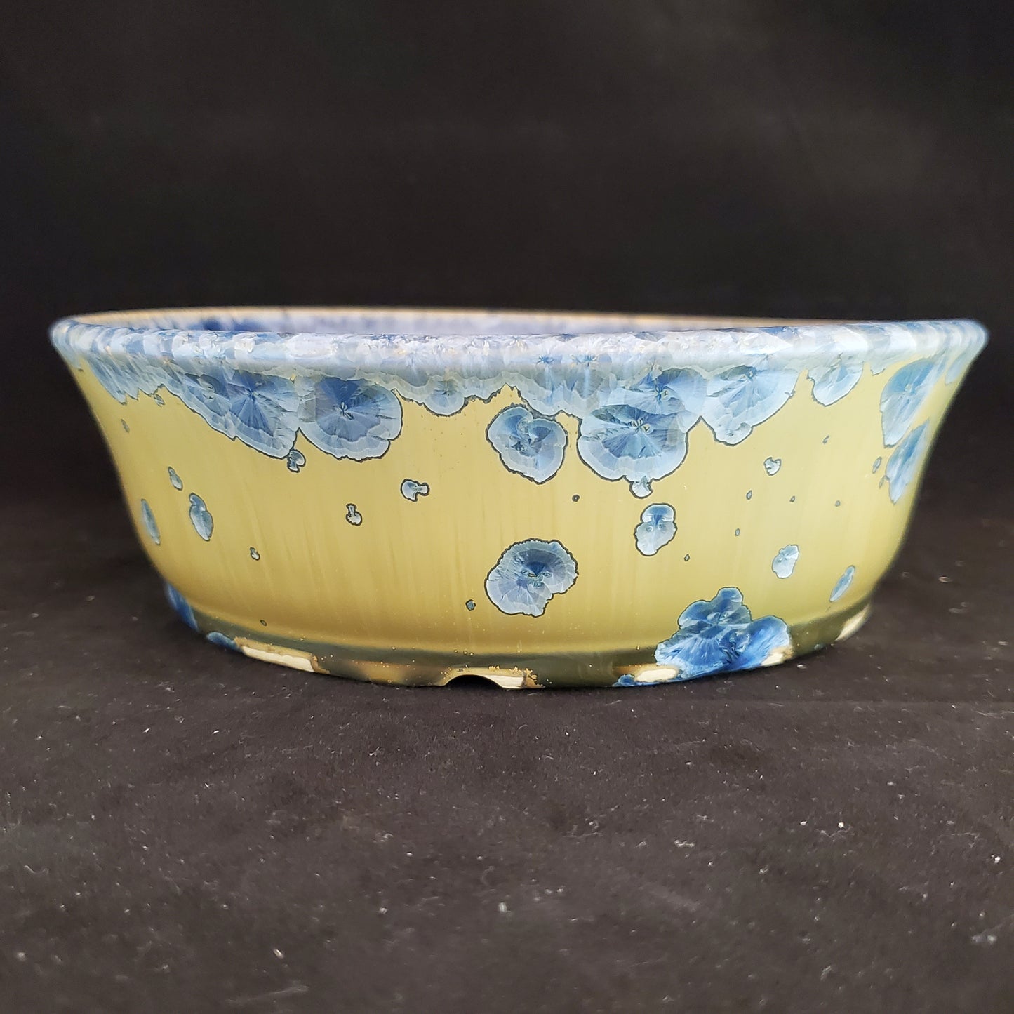 Bonsai Pot Round 10-22-1011