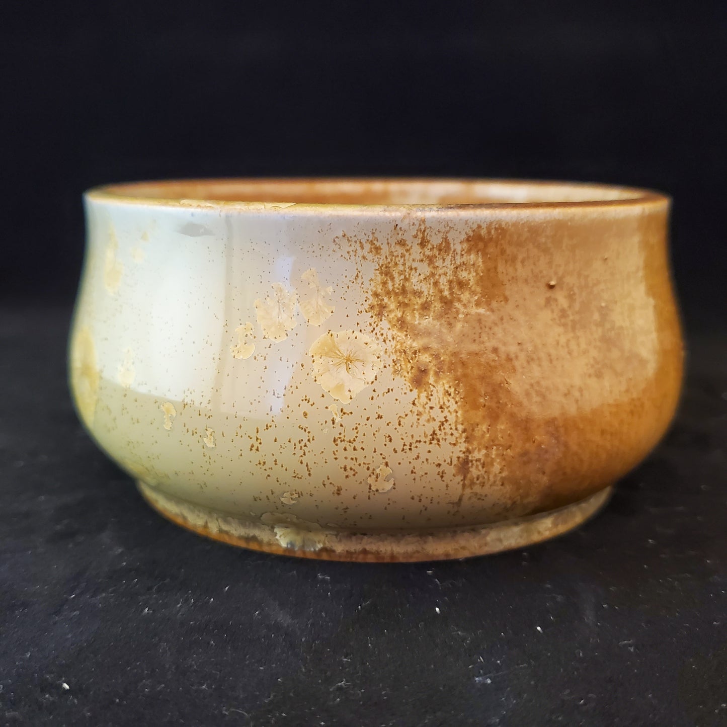 Bonsai Pot Round 10-22-1016