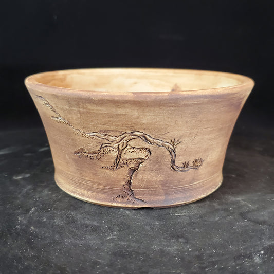 Bonsai Pot Round 5-23-1148 [5.x2.25]