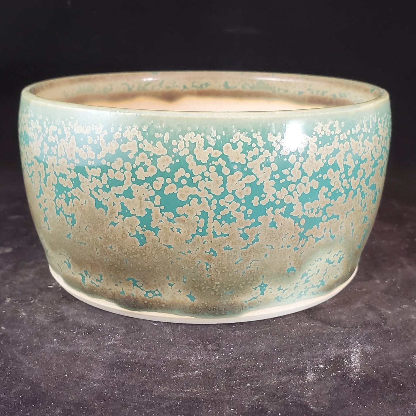 Bonsai Pot Round 5-23-1155 [5.x2.5]