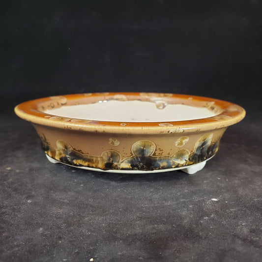 Bonsai Pot Round 6-23-1186 [6.25"x1.5"]