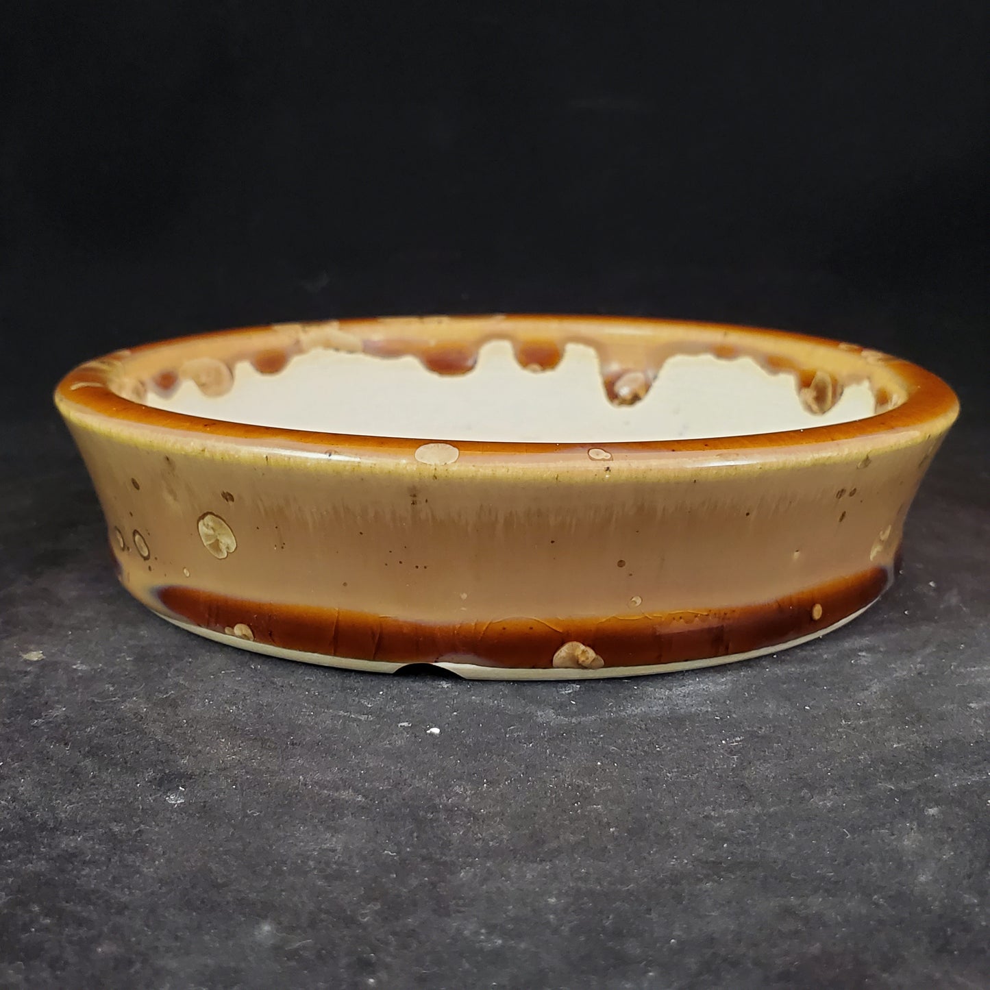 Bonsai Pot Round 6-23-1197 [5.75"x1.25"]