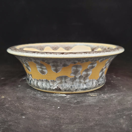 Bonsai Pot Round 6-23-1197 [5.5"x1.75"]