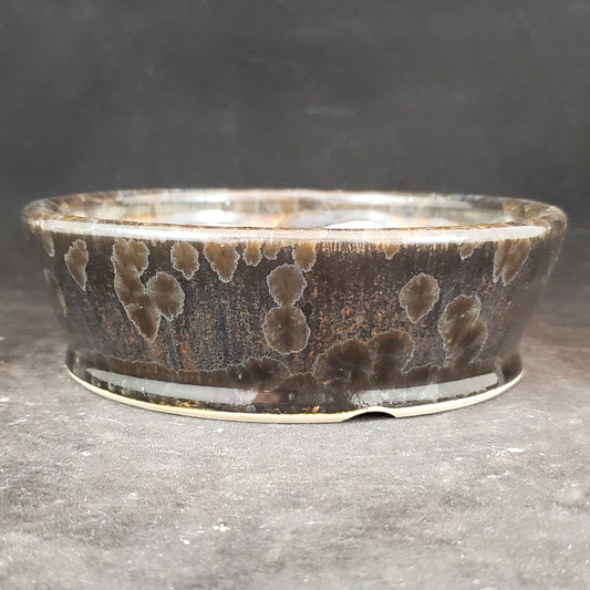 Bonsai Pot Round 6-23-1197 [6"x2"]