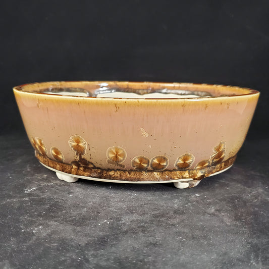 Bonsai Pot Round 6-23-1202 [8.5"x3"]