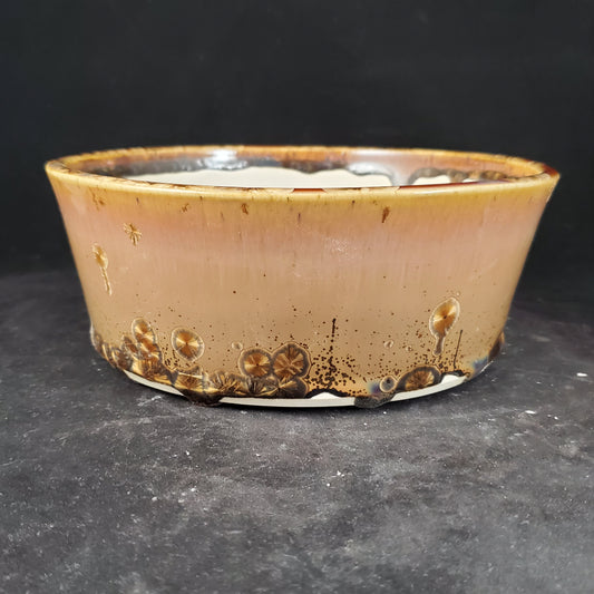 Bonsai Pot Round 6-23-1207 [7.5"x3"]