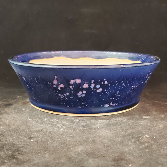 Bonsai Pot Round 7-23-1209 [7"x2.25"]