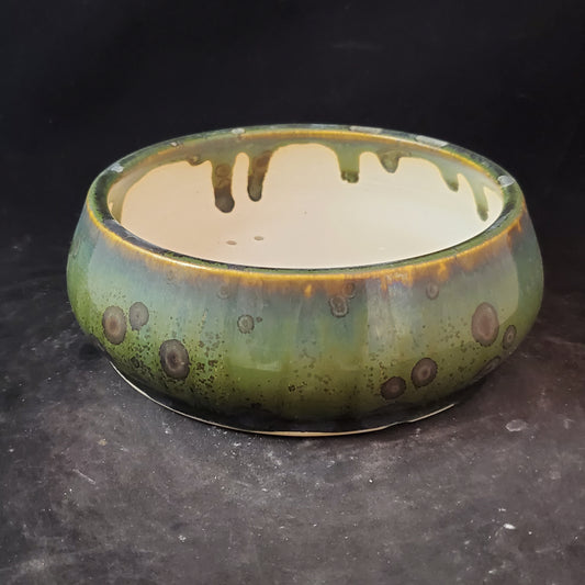 Bonsai Pot Round 7-23-1212 [7"x2.25"]