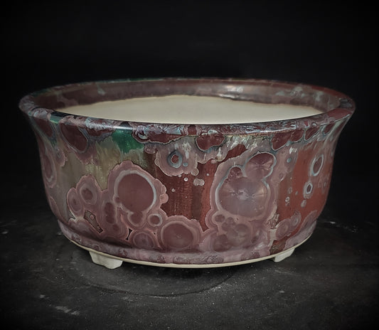 Bonsai Pot Round 8-23-1234 [8"x3.5"]