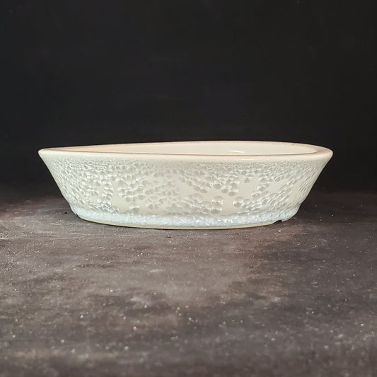 Bonsai Pot Round 8-23-1238 [7.25"x1.75"]