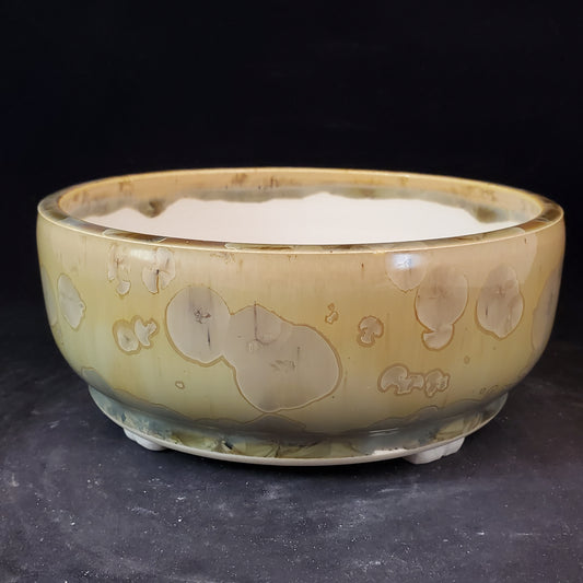 Bonsai Pot Round 8-23-1243 [6.25"x2.5"]