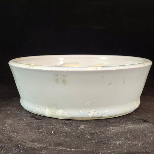 Bonsai Pot Round 8-23-1240 [5.5"x1.75"]