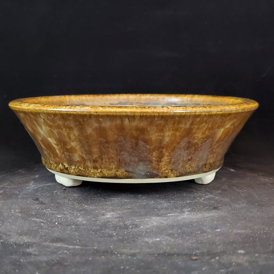 Bonsai Pot Round 8-23-1237 [6"x2"]