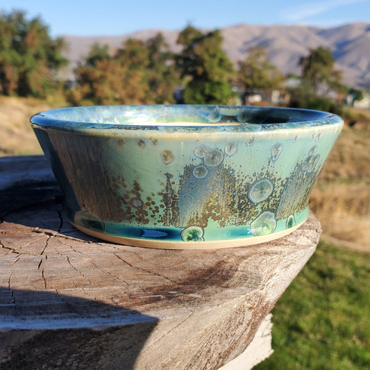 Bonsai Pot Round 9-23-1246 [5.25"x1.75"]