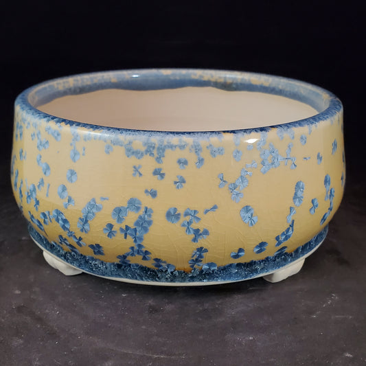 Bonsai Pot Round 9-23-1248 [6"x2.75"]