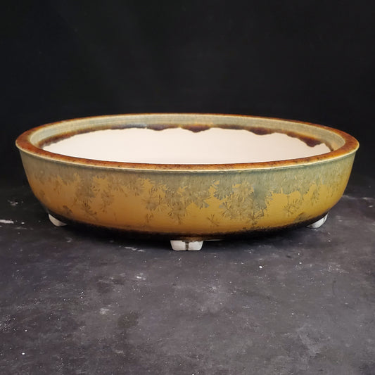 Bonsai Pot Round 9-23-1299 [10"x 2.25"] Crystalline