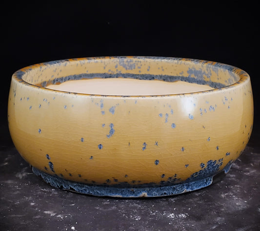 Bonsai Pot Round 12-23-1335 [7.5"x 3"]