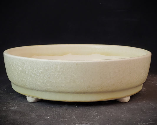 Bonsai Pot Round 1-24-1343 [6"x 1.75"]