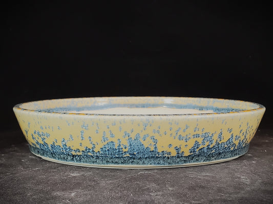 Bonsai Pot Round 1-24-1351 [8"x 1.5"]