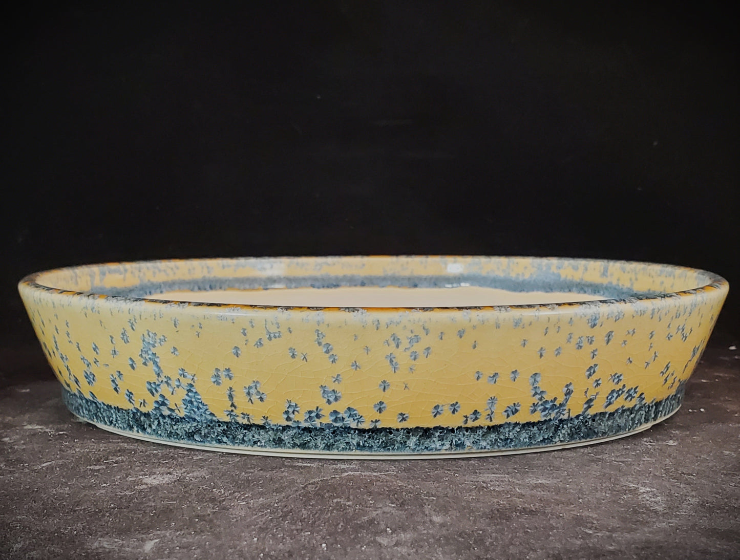 Bonsai Pot Round 1-24-1351 [8"x 1.5"]