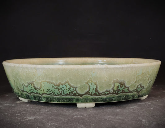 Bonsai Pot Round 1-24-1350 [8.5"x 2"]