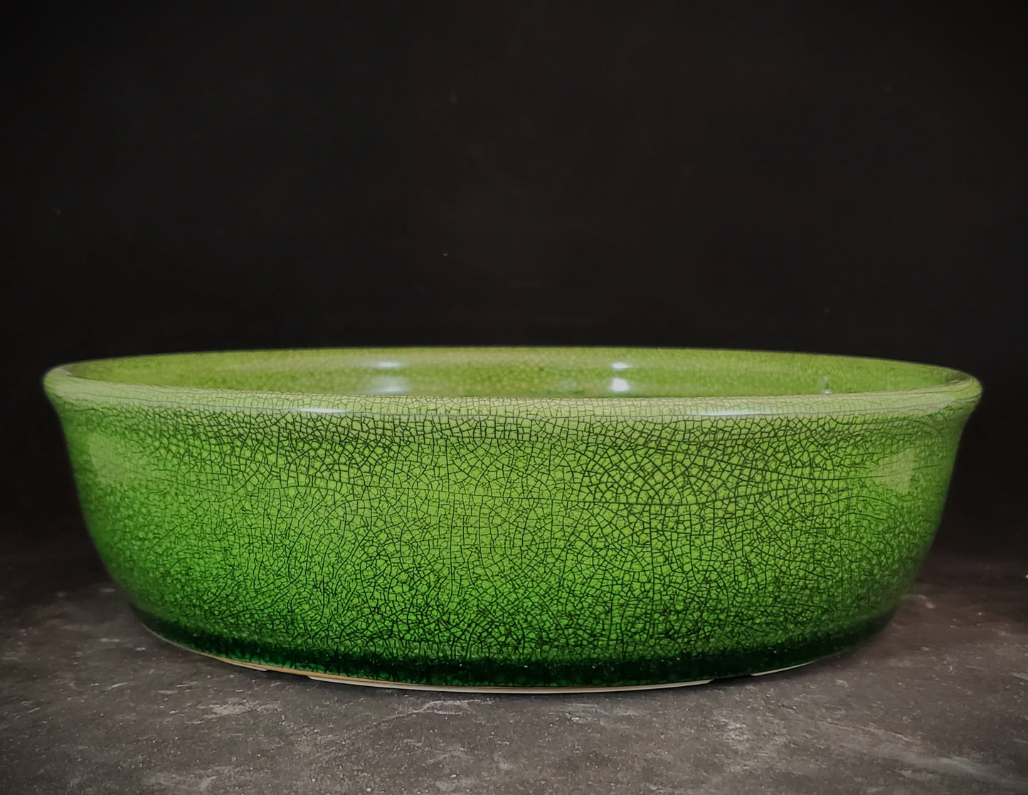 Bonsai Pot Round 1-24-1347 [9.5"x 2.5"]