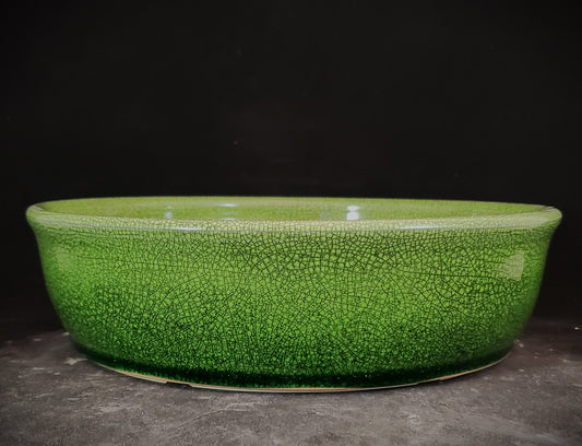 Bonsai Pot Round 1-24-1347 [9.5"x 2.5"]