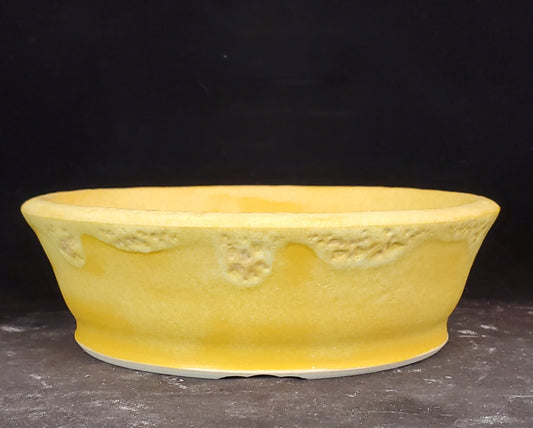 Bonsai Pot Round 1-24-1345 [6"x 1.75"] Lemon Drop