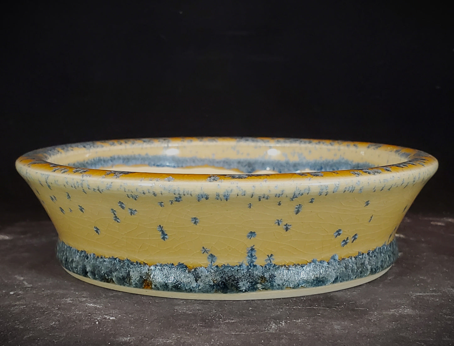 Bonsai Pot Round 1-24-1355 [5.75"x 1.5"]