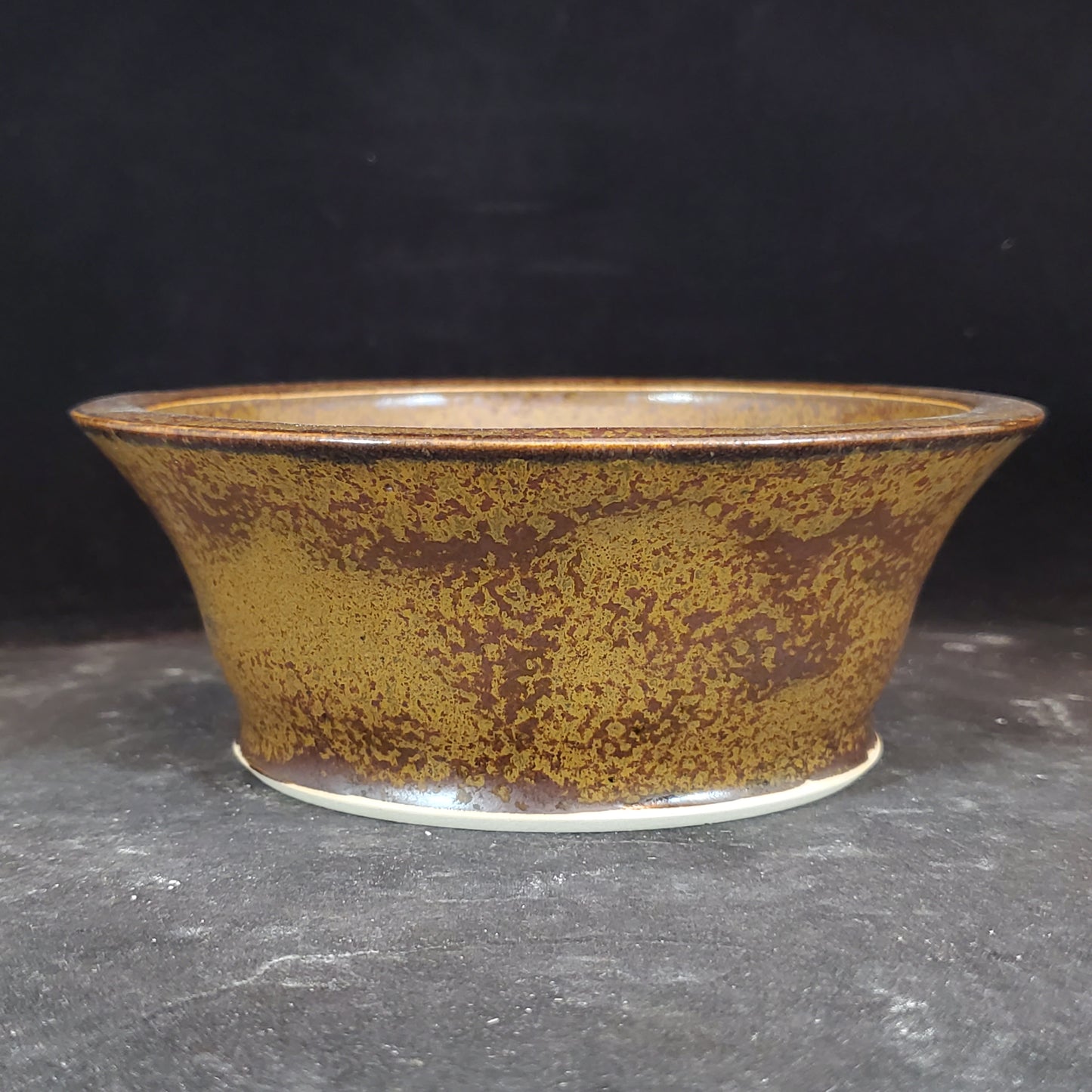 Bonsai Pot Round 1-24-1353 [5.5"x 2"]