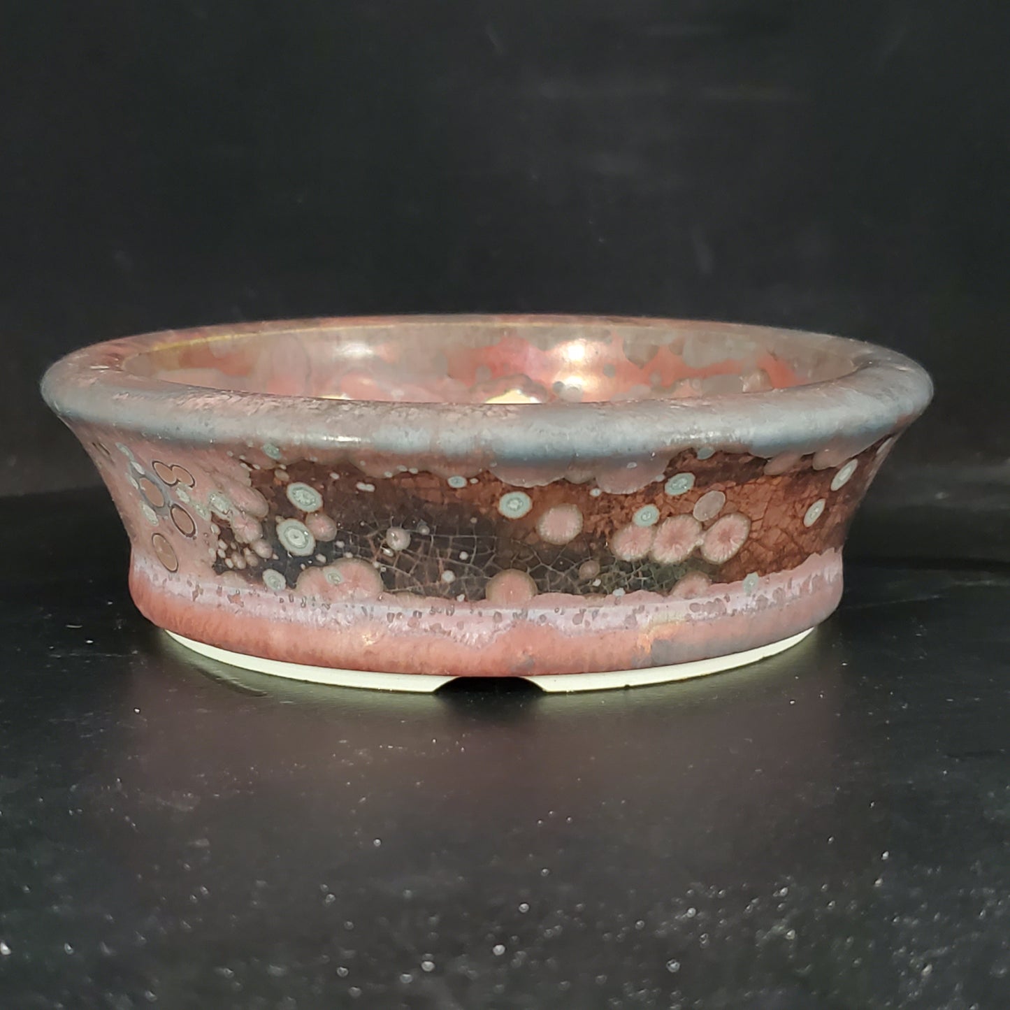 Bonsai Pot Round 2-24-1364 [4.75"x 1.5"]
