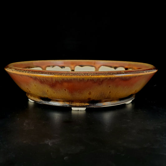 Bonsai Pot Round 2-24-1384 [11"x 2.5"]