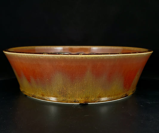 Bonsai Pot Round 2-24-1383 [10"x 3"]