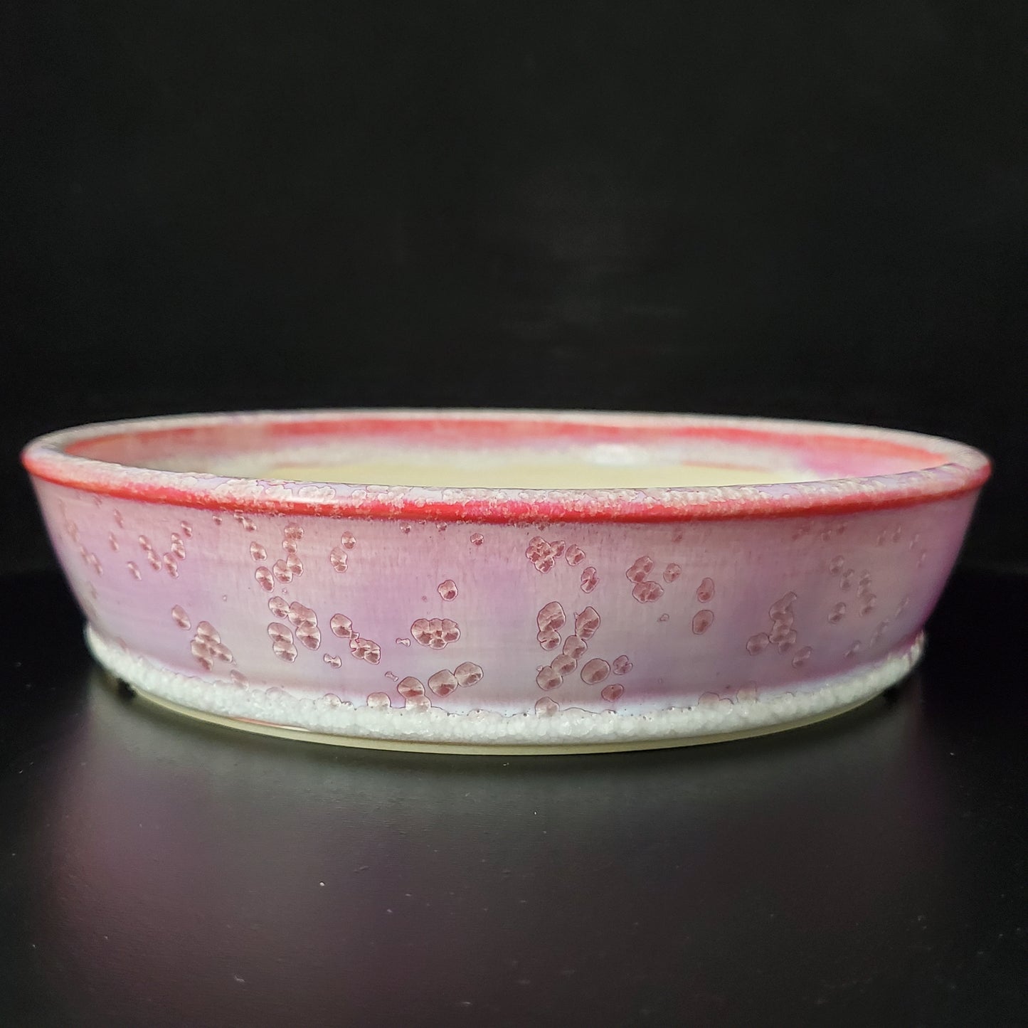 Bonsai Pot Round 2-24-1405 [8.25"x 1.75"]