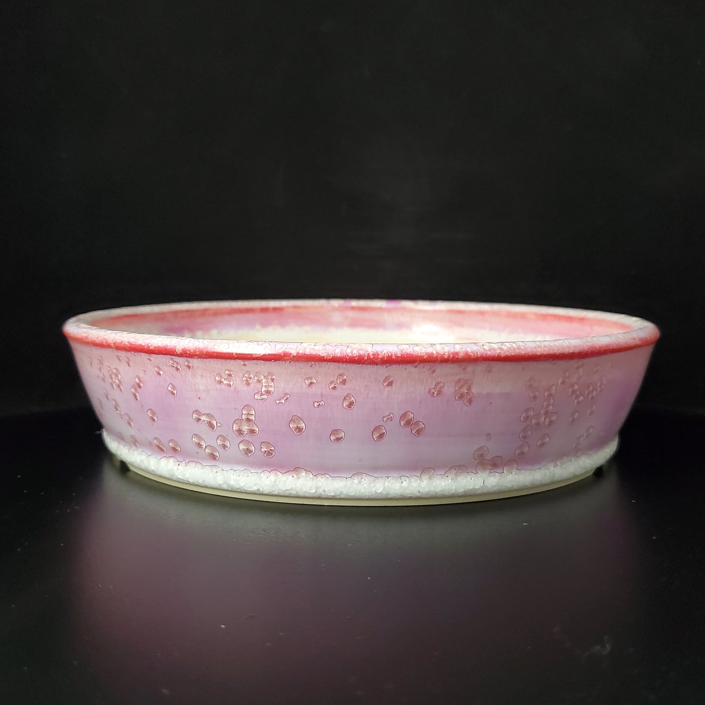 Bonsai Pot Round 2-24-1405 [8.25"x 1.75"]