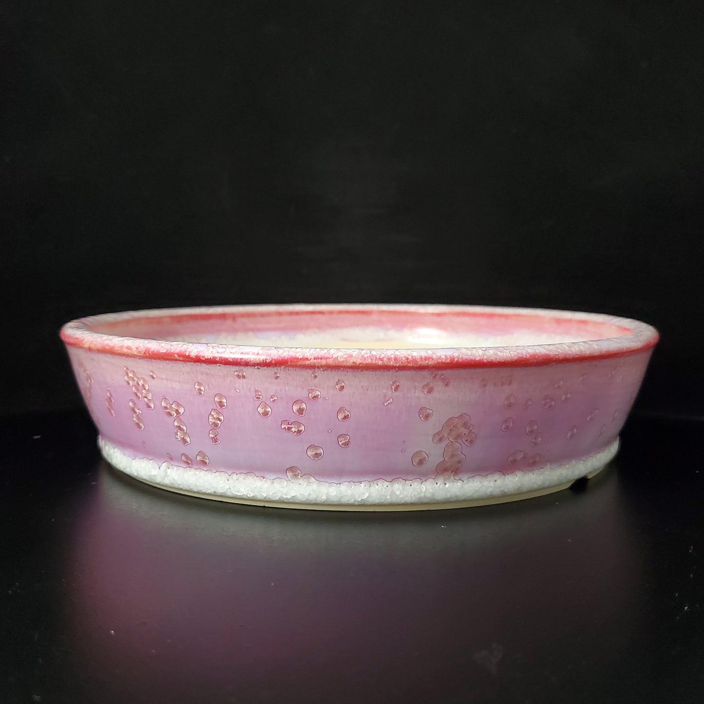 Bonsai Pot Round 2-24-1405 [8.25"x 1.75"]