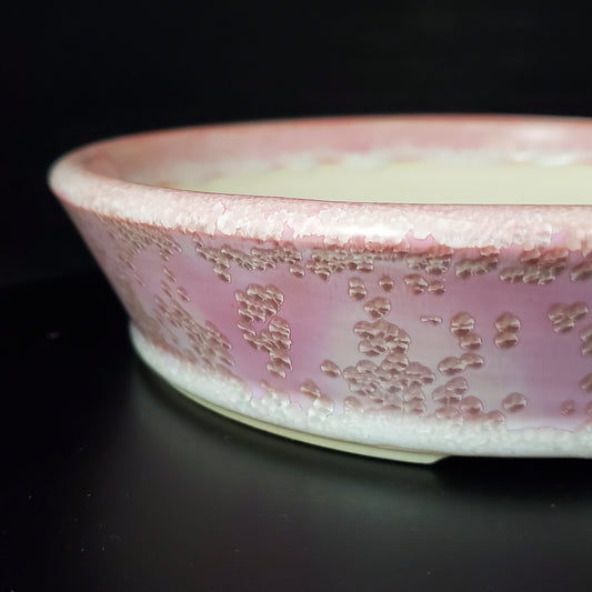 Bonsai Pot Round 2-24-1403 [7.75"x 1.75"]