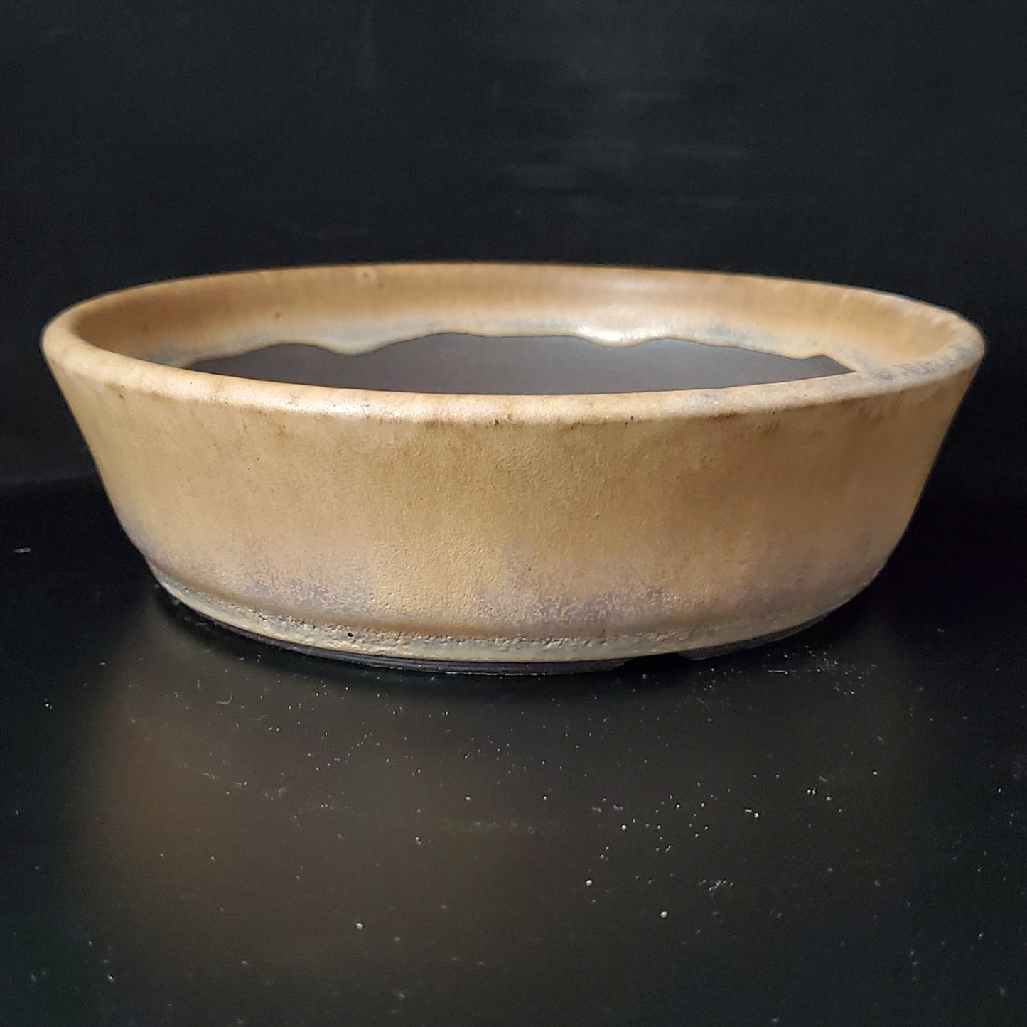 Bonsai Pot Round 2-24-1413 [7"x 2"]