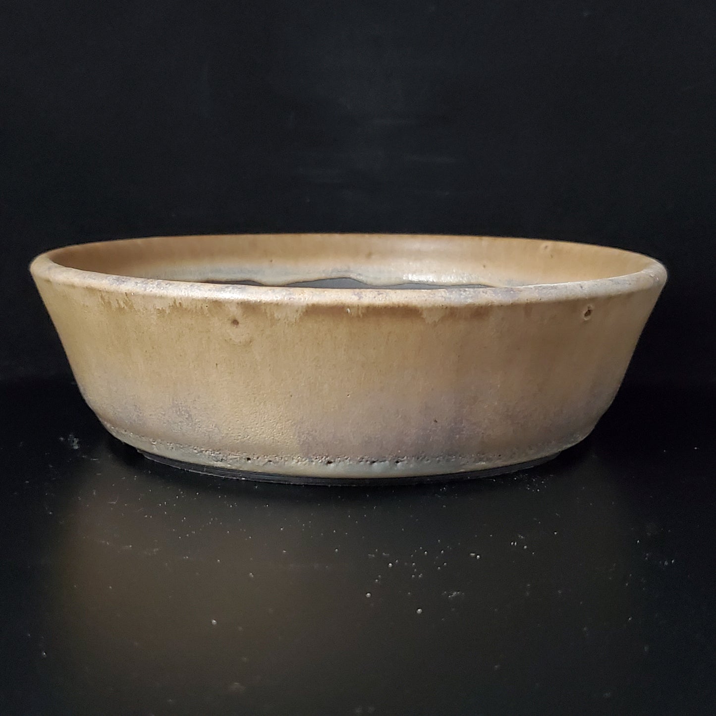 Bonsai Pot Round 2-24-1413 [7"x 2"]