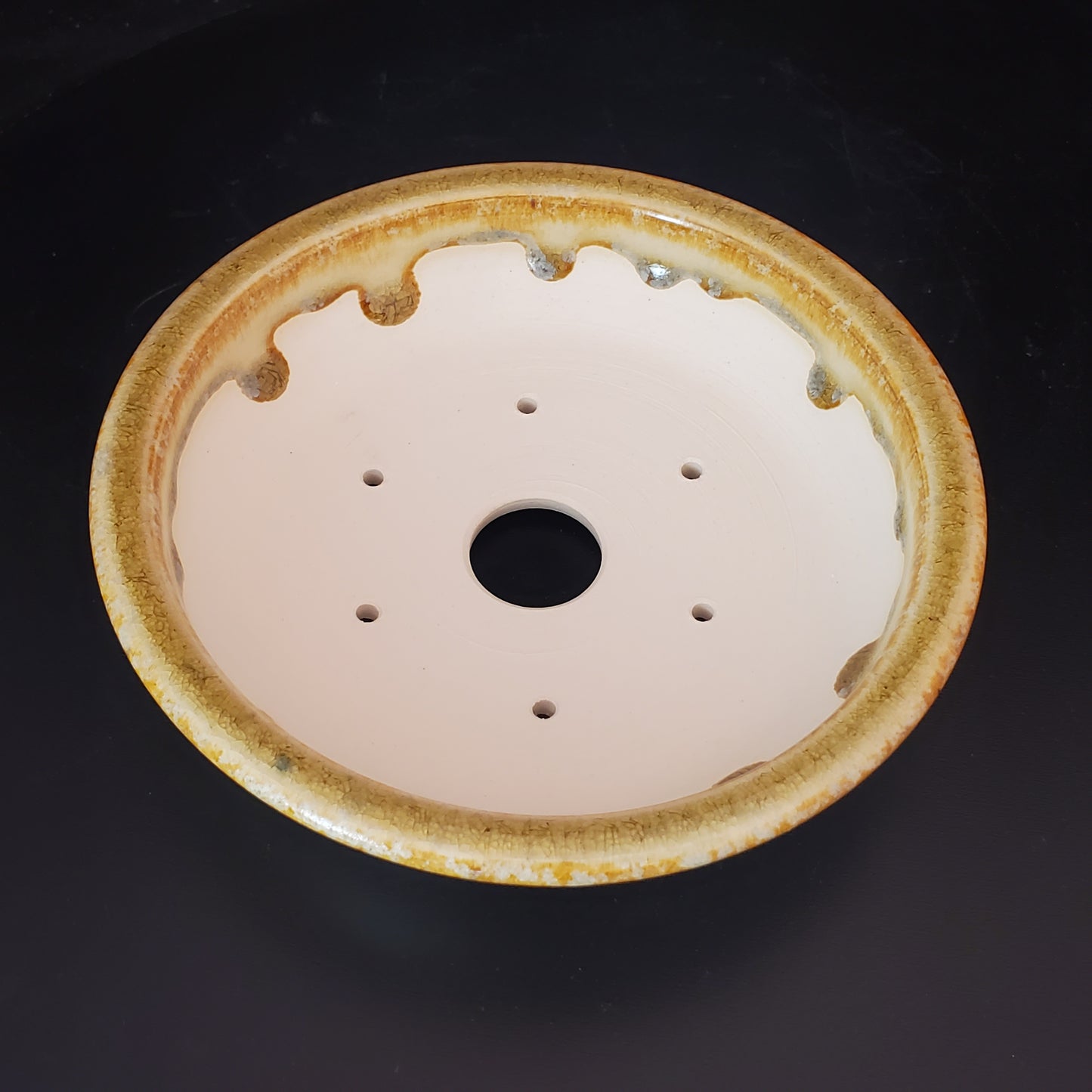 Bonsai Pot Round 2-24-1423 [6.5"x 1.5"]