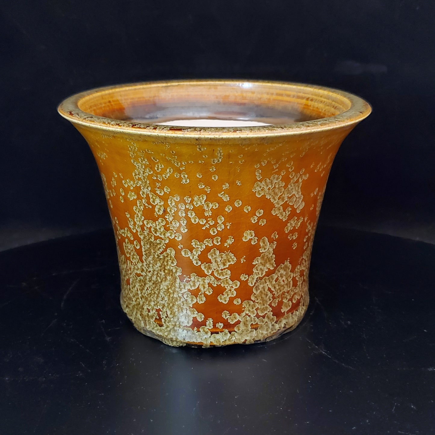 Bonsai Pot Round 2-24-1427 [6"x 4.5"]