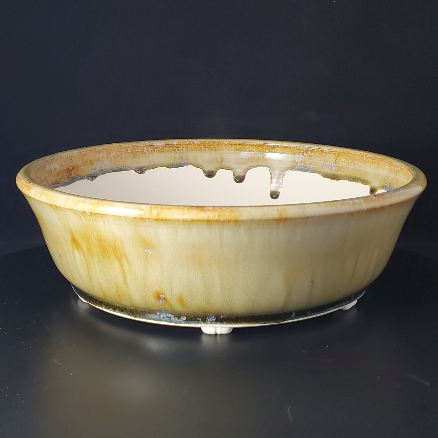 Bonsai Pot Round 4-24-1451 [12"x 3.75"]