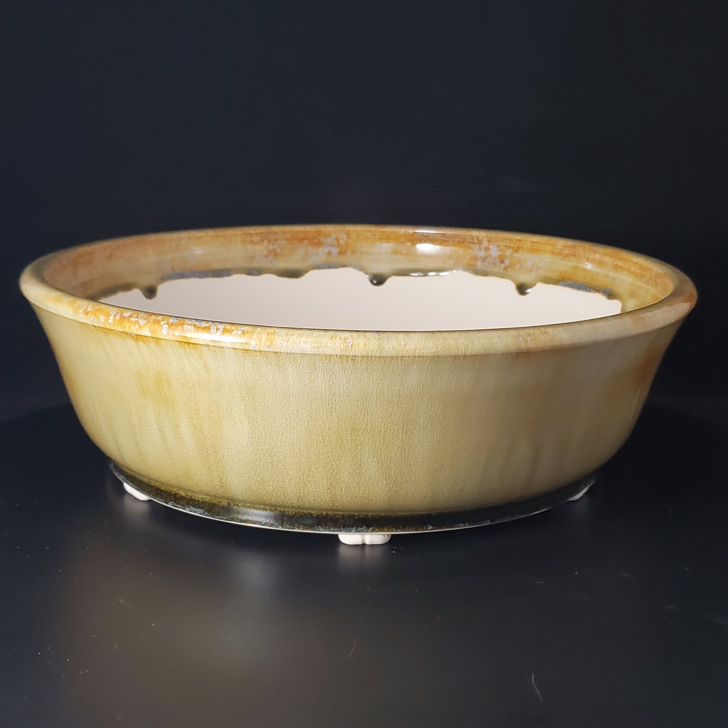 Bonsai Pot Round 4-24-1451 [12"x 3.75"]