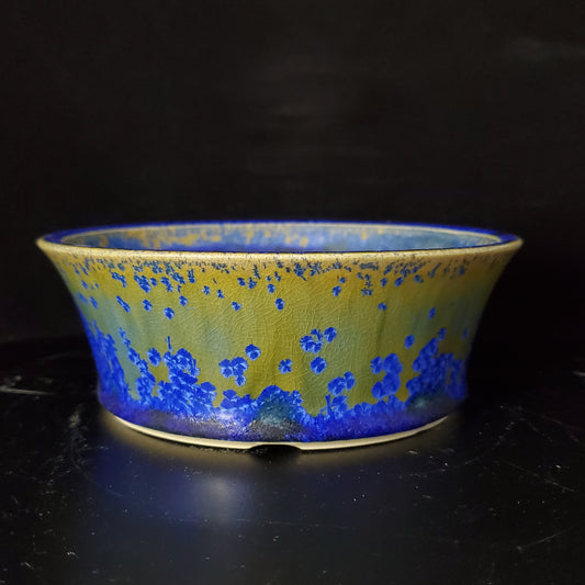 Bonsai Pot Round 4-24-1449 [5.5"x 2"]