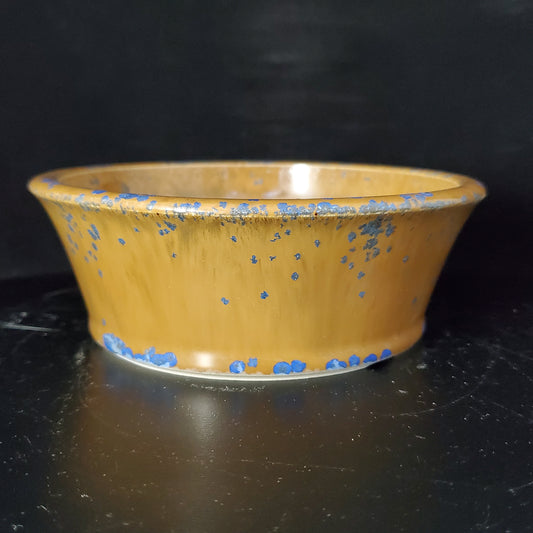 Bonsai Pot Round 4-24-1450 [5.5"x 2"]