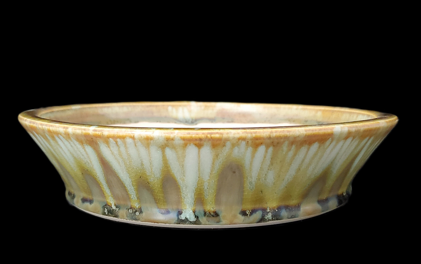 Bonsai Pot Round 4-24-1453 [7.75"x 1.75"]