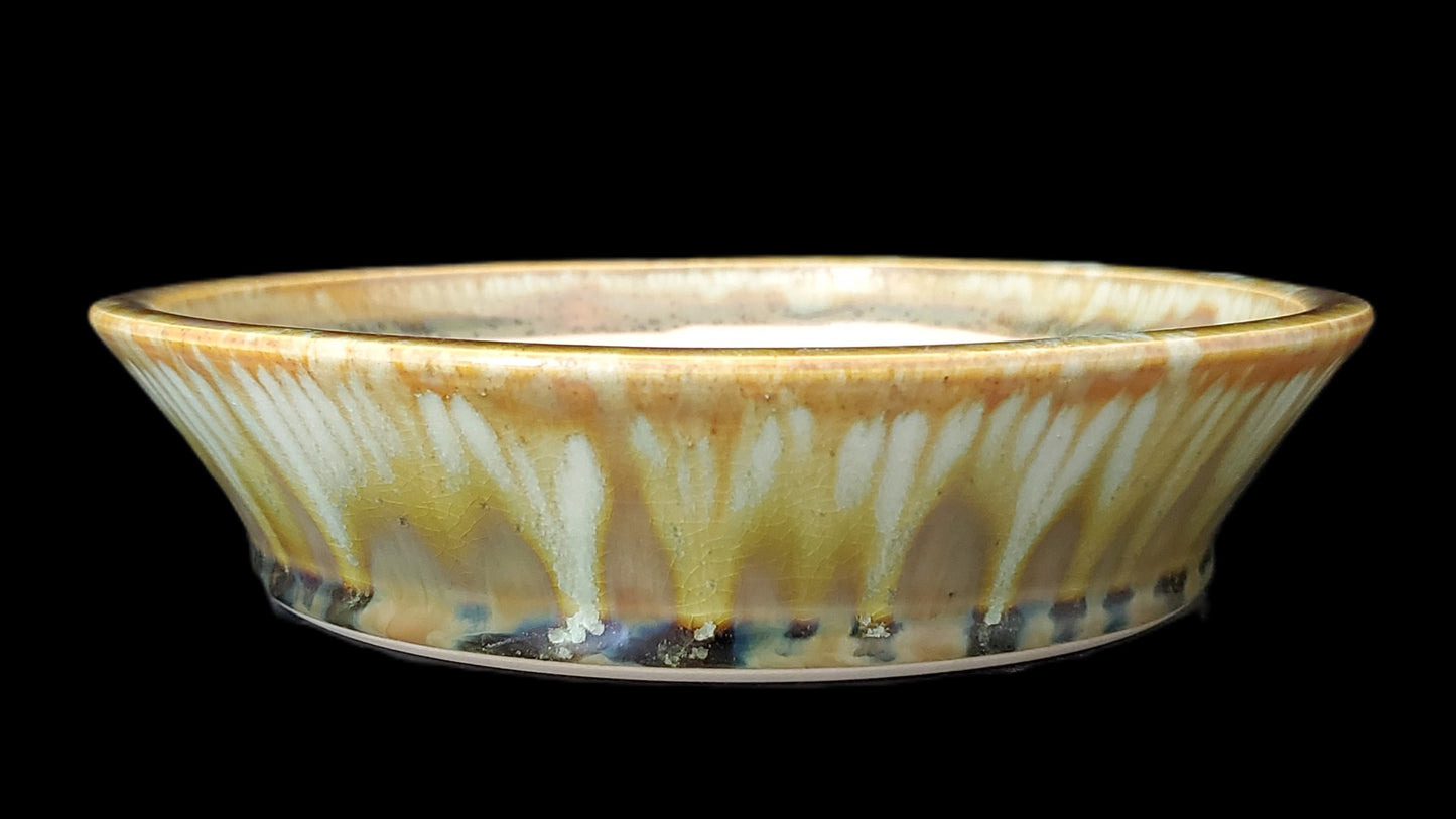 Bonsai Pot Round 4-24-1453 [7.75"x 1.75"]