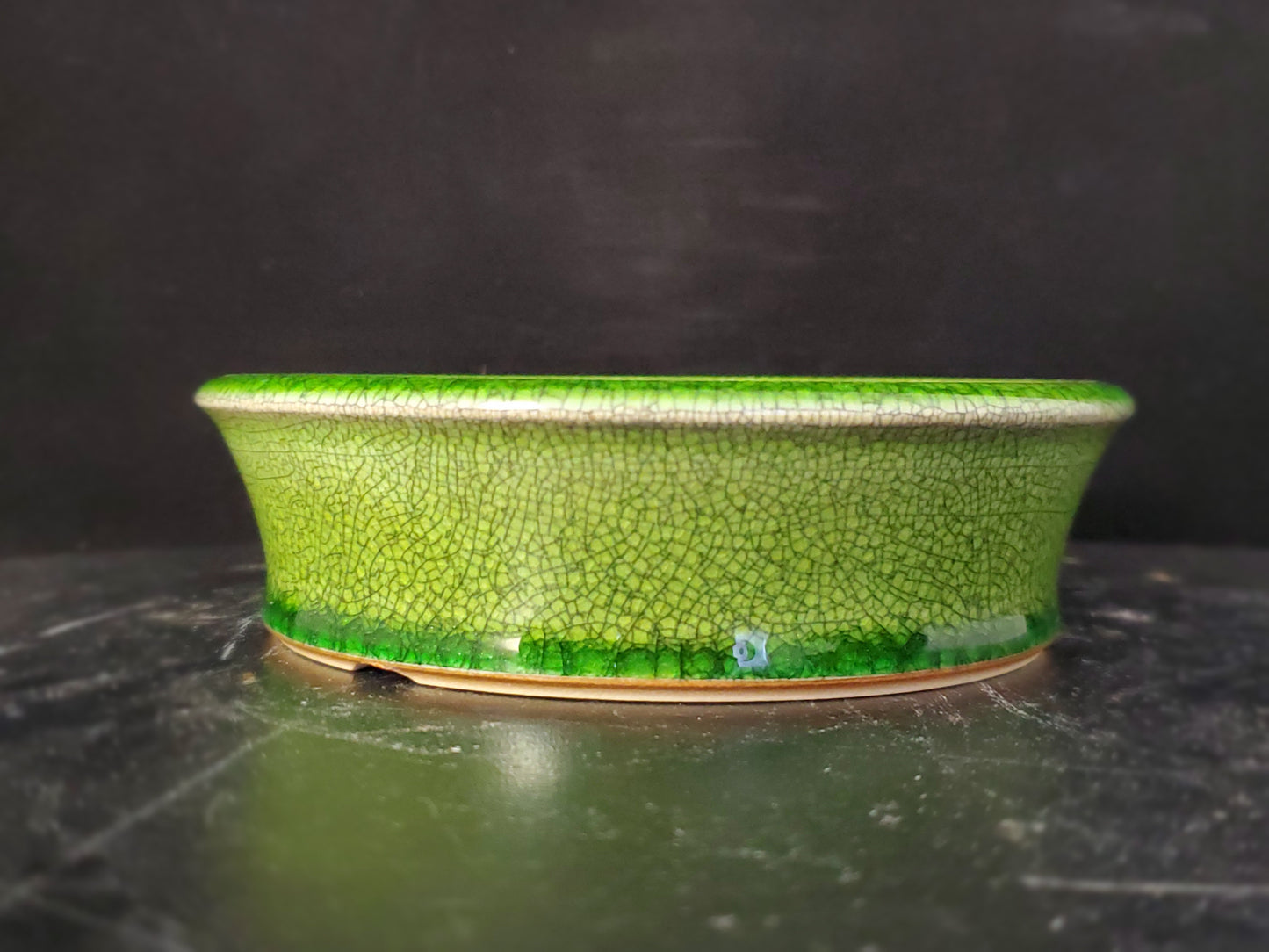 Bonsai Pot Round 9-24-1518  5.5"w x 1.5"t