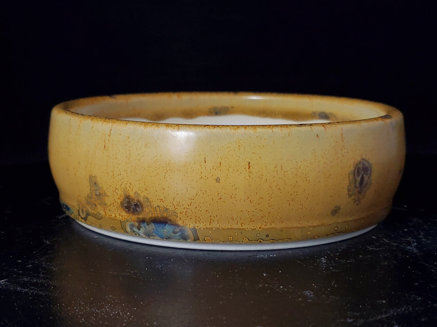 Bonsai Pot Round 11-24-1561  5.25" x 1.5"t